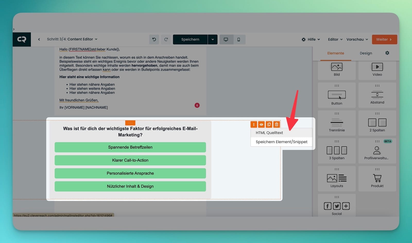 CleverReach Integration HTML über Text-Element